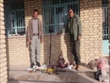 دستگیری شکارچی غیرمجاز در فیروزکوه 