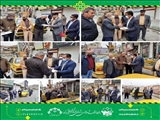 تجلیل از رانندگان تاکسی های درون شهری فیروزکوه به مناسبت هفته حمل و نقل