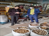 برگزاری گشت بازرسی و نظارت از واحدهای صنفی در شهرستان فیروزکوه