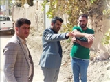 پیگیری روند خدمت رسانی به اهالی شریف روستای مزداران