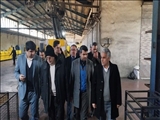 ازدید معاون هماهنگی امور اقتصادی استانداری تهران از چند شرکت تولیدی فیروزکوه 