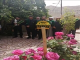 تجلیل خادمان رضوی از خانواده شهیدان حسن و محمدمهدی سراج