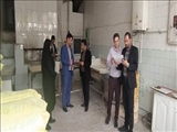 برگزاری گشت مشترک بازرسی و نظارت از واحد‌های صنفی نانوایان شهرستان فیروزکوه