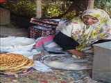 نمایشگاه توانمندی ها و دستاوردهای فرهنگی شهرستان فیروزکوه