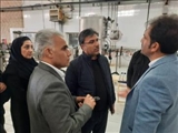 بازدید معاون استاندار از  دو واحد صنعتی در فیروزکوه