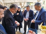 بازدید فرماندار فیروزکوه از بازار شهرستان در آستانه عید نوروز