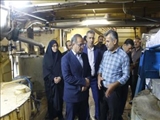 بازدید فرماندار فیروزکوه از واحدهای صنعتی در قالب برنامه «یکشنبه‌های سرمایه‌گذاری و تولید»