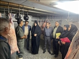 برگزاری گشت مشترک بازرسی از کشتارگاه شهرستان فیروزکوه