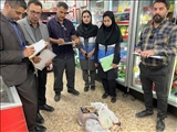شناسایی سه واحد صنفی متخلف طی گشت مشترک بازرسی و نظارت بر واحدهای صنفی شهرستان فیروزکوه