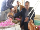 فرماندار فیروزکوه در جشن گلاب‌گیری روستای طارس: توسعه گردشگری روستایی و حمایت از مشاغل بومی در دستور کار شهرستان است