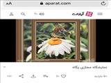 برگزاری نمایشگاه مجازی نقاشی در فیروزکوه