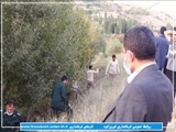 بازدید فرماندار فیروزکوه از پروژه های عمرانی بخش کشاورزی  با مشارکت بسیج سازندگی سپاه سیدالشهدا  