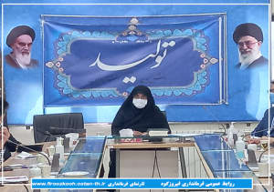 جلسه کارگروه اشتغال شهرستان فیروزکوه